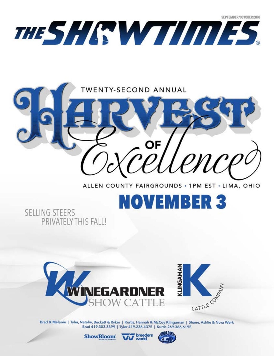 tiktok advertisement